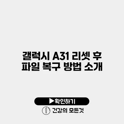 갤럭시 A31 리셋 후 파일 복구 방법 소개