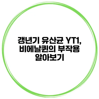 갱년기 유산균 YT1, 비에날퀸의 부작용 알아보기