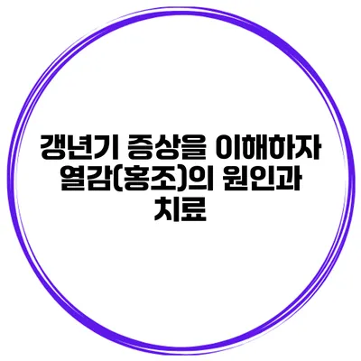 갱년기 증상을 이해하자 열감(홍조)의 원인과 치료