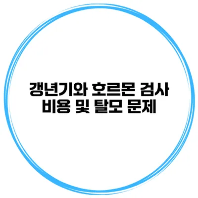 갱년기와 호르몬 검사 비용 및 탈모 문제