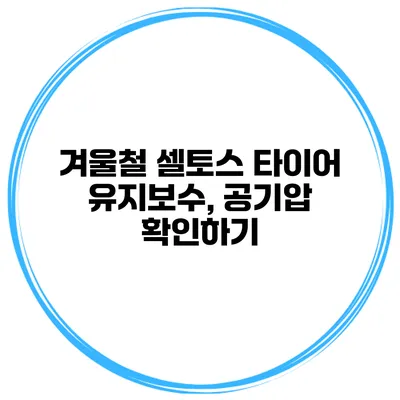 겨울철 셀토스 타이어 유지보수, 공기압 확인하기