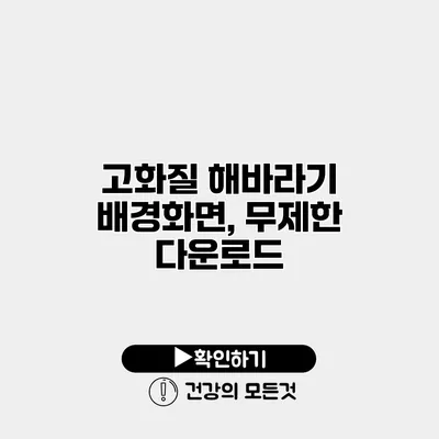 고화질 해바라기 배경화면, 무제한 다운로드