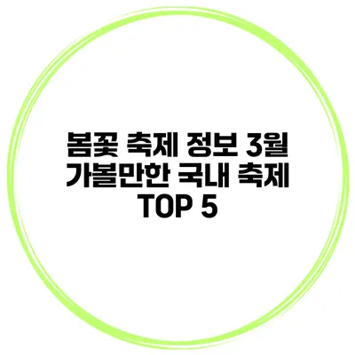 봄꽃 축제 정보 3월 가볼만한 국내 축제 TOP 5