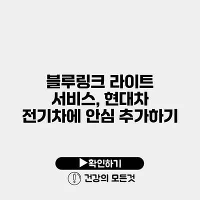 블루링크 라이트 서비스, 현대차 전기차에 안심 추가하기