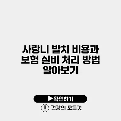 사랑니 발치 비용과 보험 실비 처리 방법 알아보기