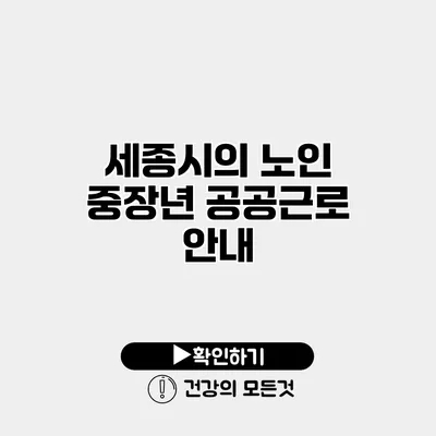 세종시의 노인 중장년 공공근로 안내