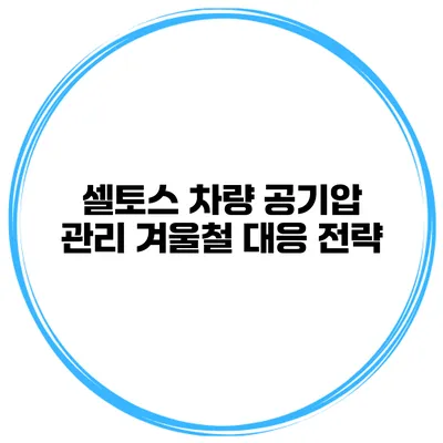 셀토스 차량 공기압 관리: 겨울철 대응 전략