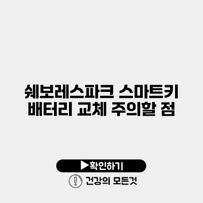 쉐보레스파크 스마트키 배터리 교체 주의할 점