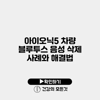 아이오닉5 차량 블루투스 음성 삭제 사례와 해결법