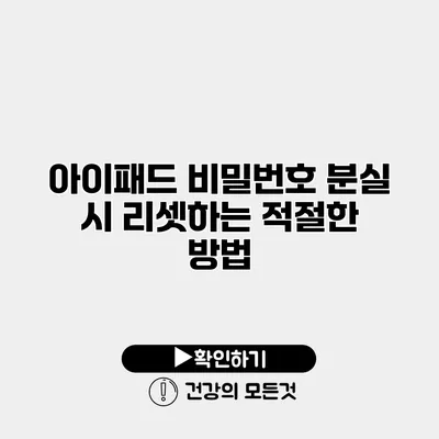 아이패드 비밀번호 분실 시 리셋하는 적절한 방법