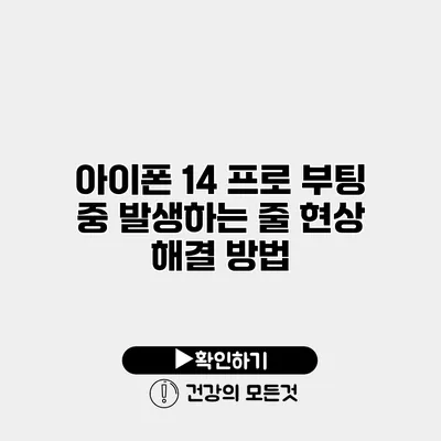 아이폰 14 프로 부팅 중 발생하는 줄 현상 해결 방법