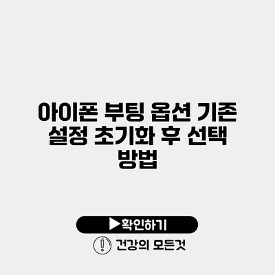 아이폰 부팅 옵션 기존 설정 초기화 후 선택 방법
