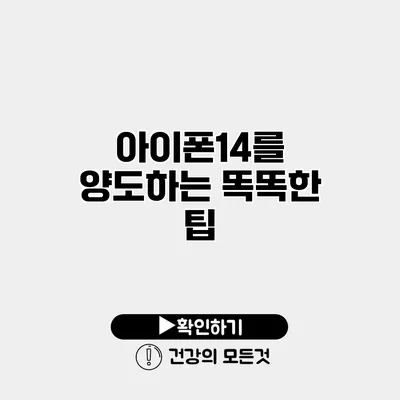 아이폰14를 양도하는 똑똑한 팁