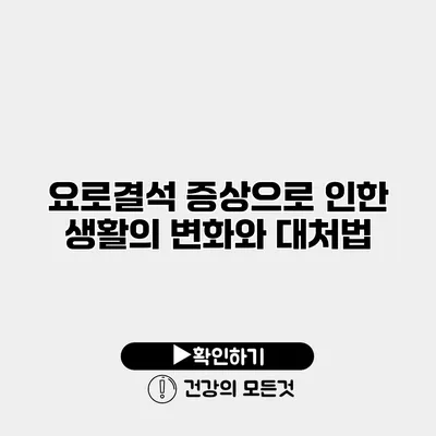 요로결석 증상으로 인한 생활의 변화와 대처법