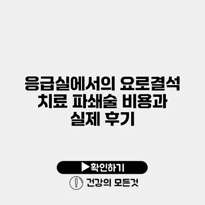 응급실에서의 요로결석 치료 파쇄술 비용과 실제 후기