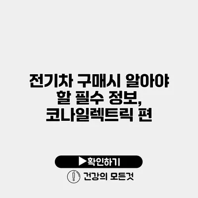 전기차 구매시 알아야 할 필수 정보, 코나일렉트릭 편