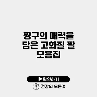 짱구의 매력을 담은 고화질 짤 모음집