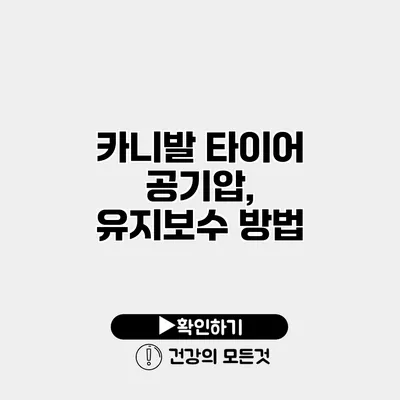 카니발 타이어 공기압, 유지보수 방법