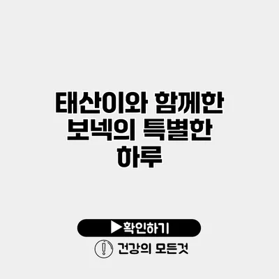 태산이와 함께한 보넥의 특별한 하루