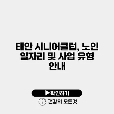 태안 시니어클럽, 노인 일자리 및 사업 유형 안내