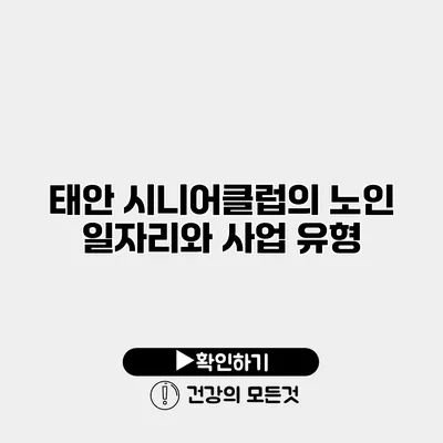 태안 시니어클럽의 노인 일자리와 사업 유형