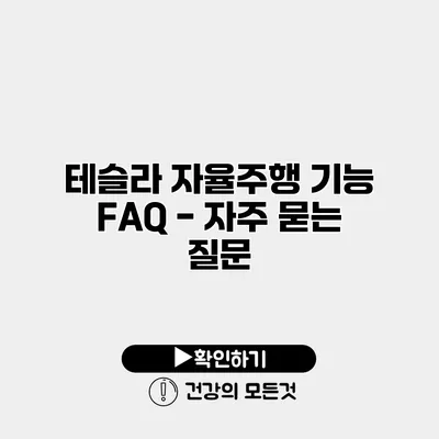 테슬라 자율주행 기능 FAQ - 자주 묻는 질문