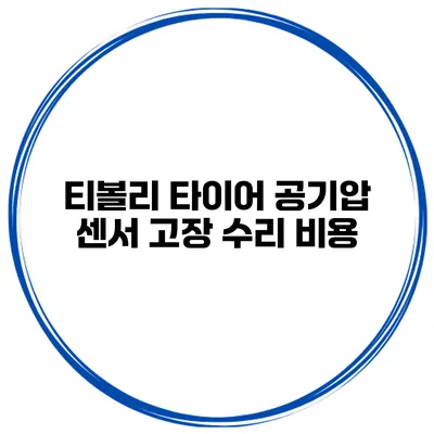 티볼리 타이어 공기압 센서 고장 수리 비용