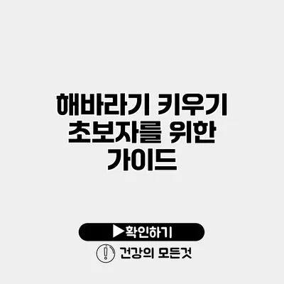 해바라기 키우기 초보자를 위한 가이드