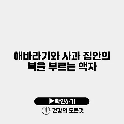 해바라기와 사과 집안의 복을 부르는 액자