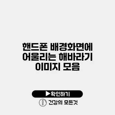 핸드폰 배경화면에 어울리는 해바라기 이미지 모음