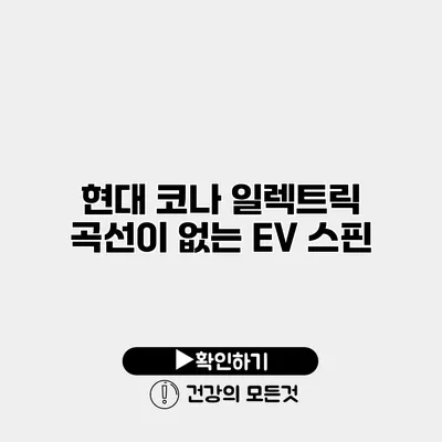 현대 코나 일렉트릭 곡선이 없는 EV 스핀