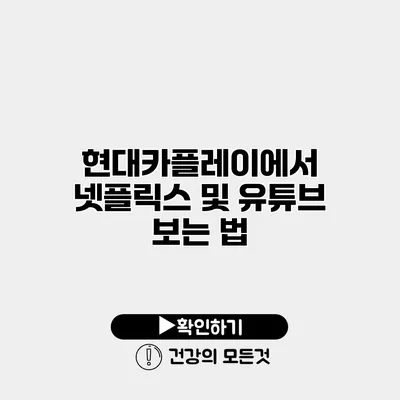 현대카플레이에서 넷플릭스 및 유튜브 보는 법