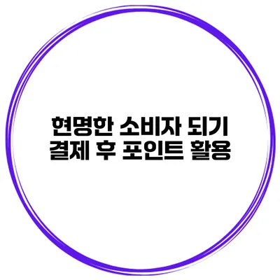 현명한 소비자 되기 결제 후 포인트 활용