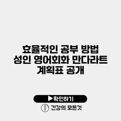 효율적인 공부 방법 성인 영어회화 만다라트 계획표 공개